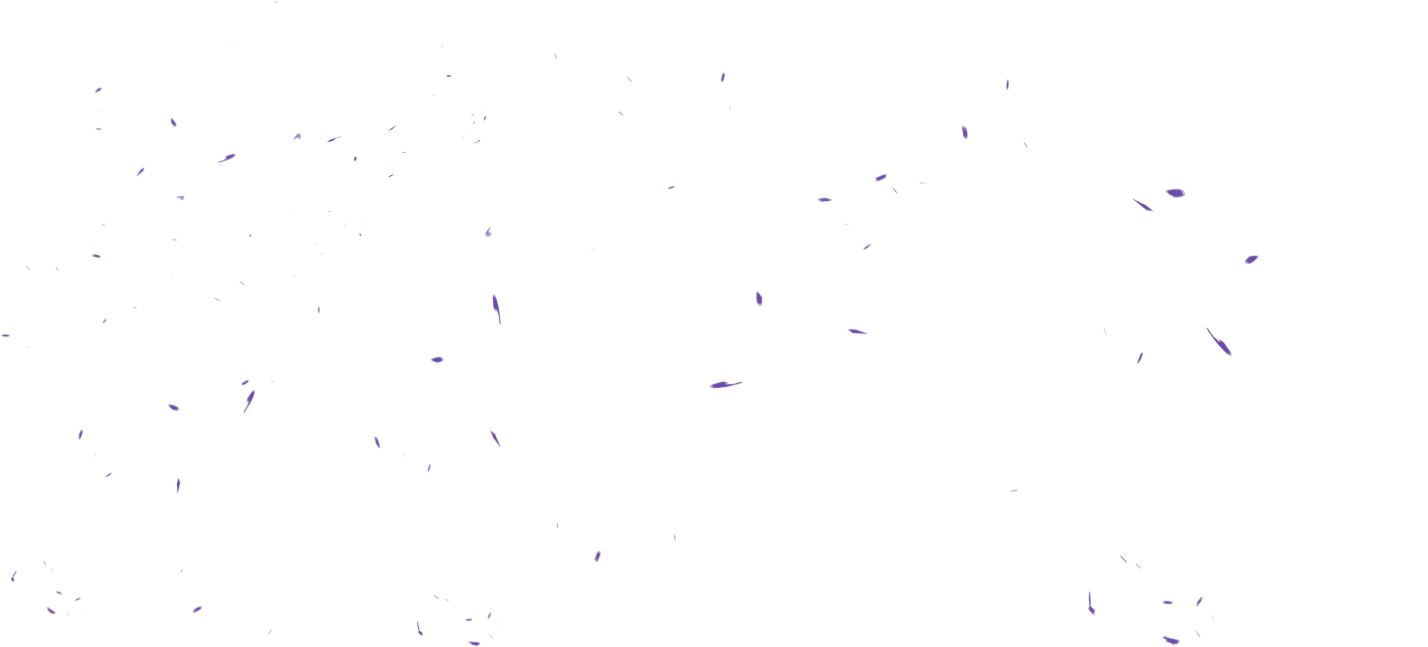Parallax Layer